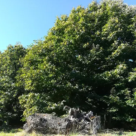 Glicinias Del Jerte Casas del Castañar