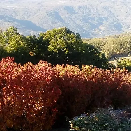 Glicinias Del Jerte Ferienhaus Casas del Castañar
