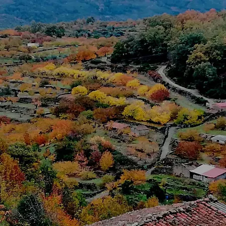 Glicinias Del Jerte *