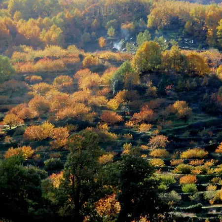 Ferienhaus Glicinias Del Jerte *