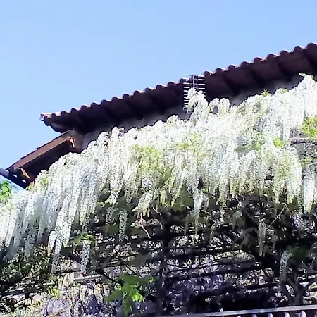 Ferienhaus Glicinias Del Jerte Casas del Castañar