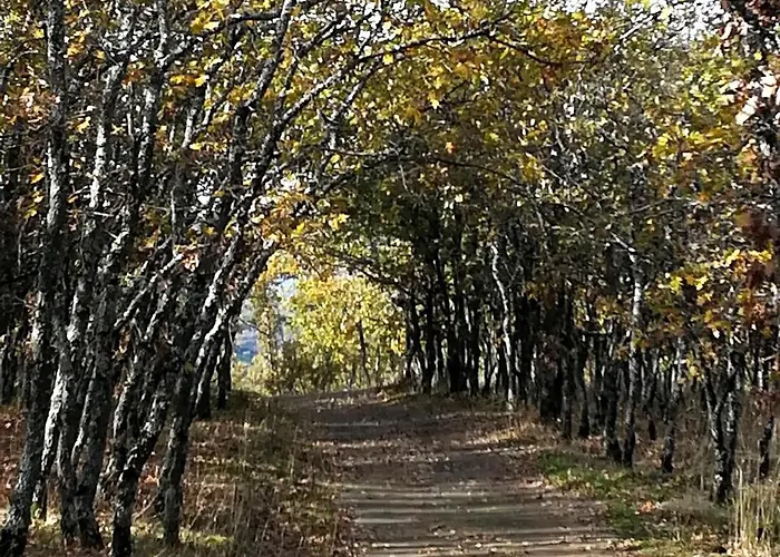 Glicinias Del Jerte Vakantiehuis Casas del Castañar