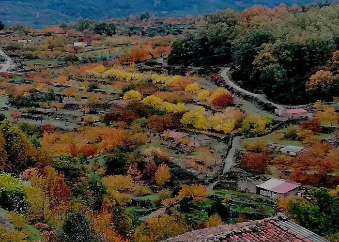 Glicinias Del Jerte *