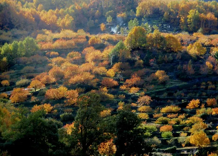 Vakantiehuis Glicinias Del Jerte *