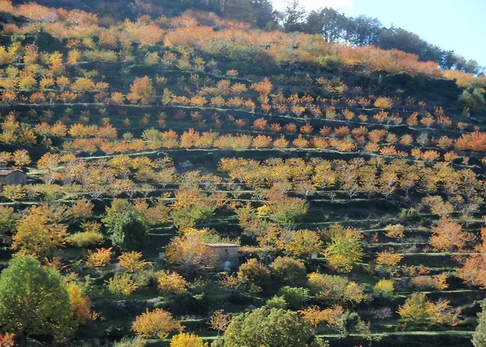 Glicinias Del Jerte Vakantiehuis