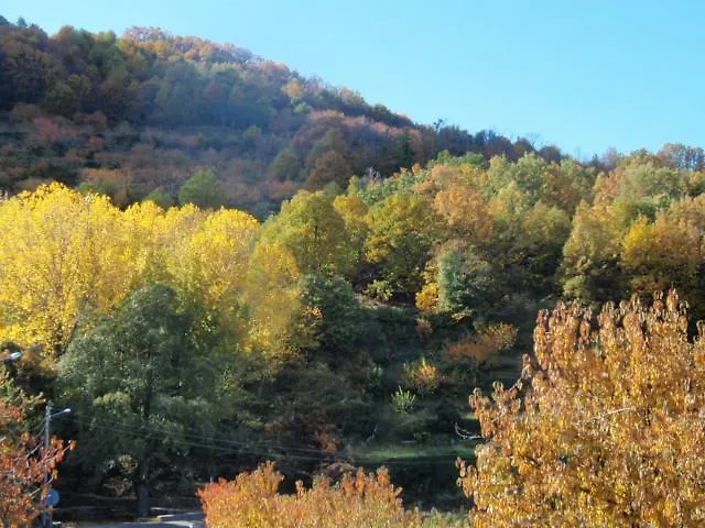 Glicinias Del Jerte * Casas del Castañar