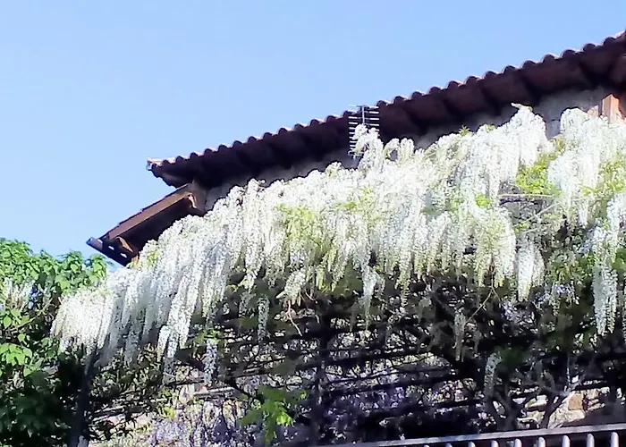 Vakantiehuis Glicinias Del Jerte Casas del Castañar