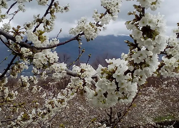 Glicinias Del Jerte Vakantiehuis Casas del Castañar