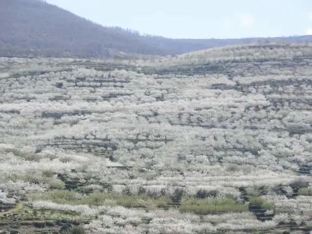 Vakantiehuis Glicinias Del Jerte